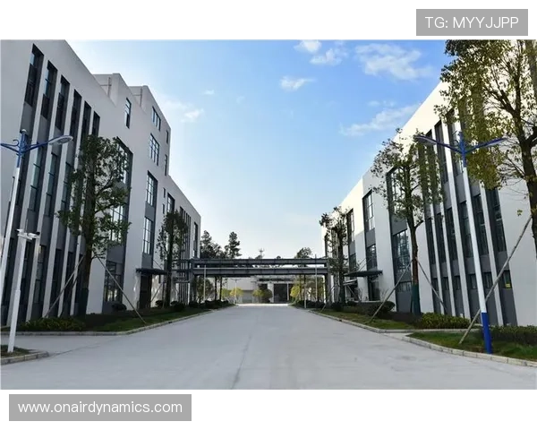 凯发集团网站最新官方平台全面介绍与使用指南